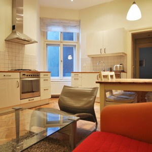 Livingroom with kitchen anex