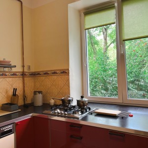 Odolanska 09