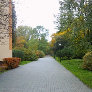 Powiśle wokól (23)