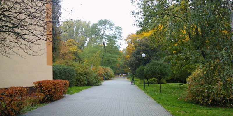 Powiśle wokól (23)