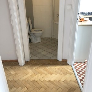 toilet