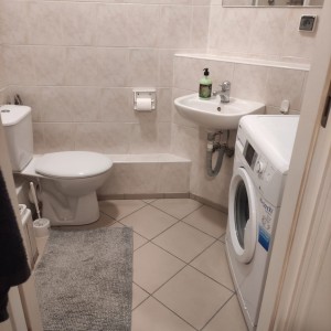 bathroom 1 (4)