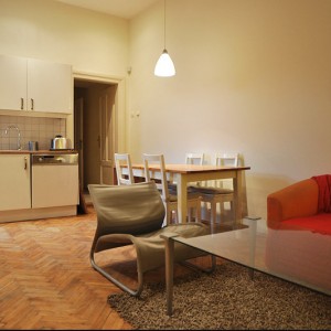 Livingroom with kitchen anex