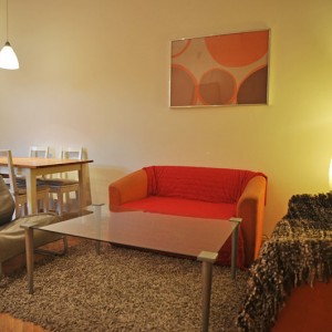 Livingroom with kitchen anex