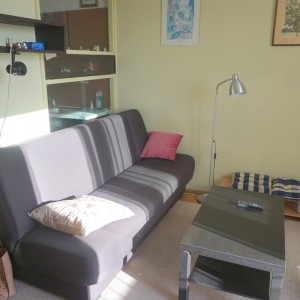 Livingroom area
