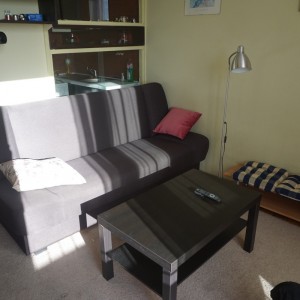 Livingroom area