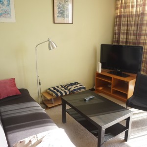 Livingroom area