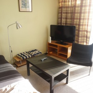 Livingroom area
