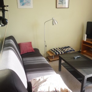 Livingroom area