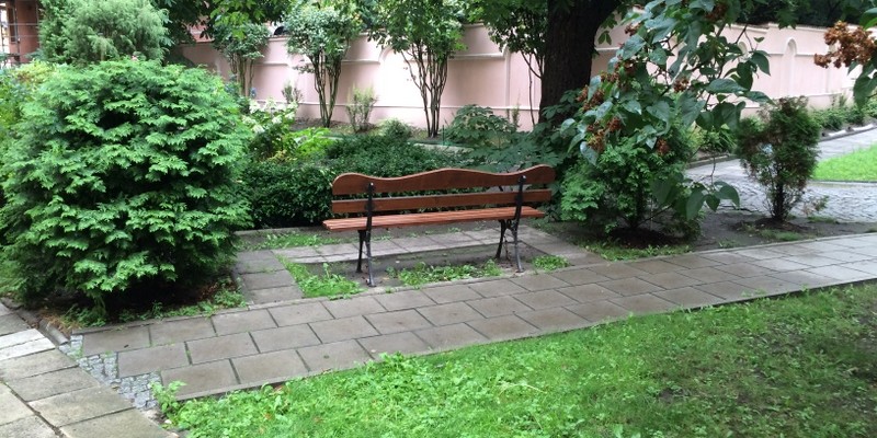 backyard garden