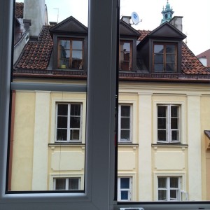 Window view