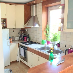Kitchen anex