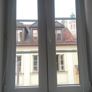 window view