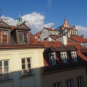Window view