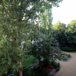 window view