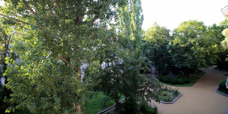 window view