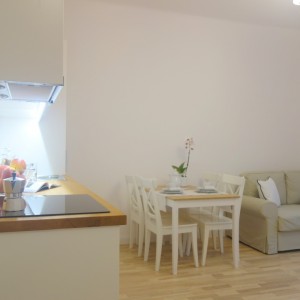 Kitchen anex
