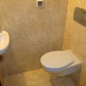 toilet