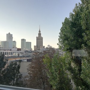 view