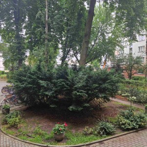 widok z sypialni