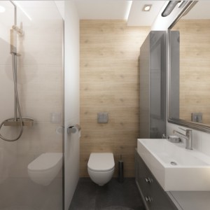 Bathroom 1