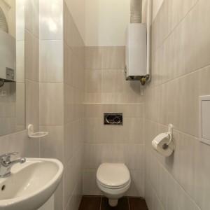 toilet