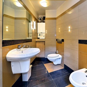 Bathroom 1