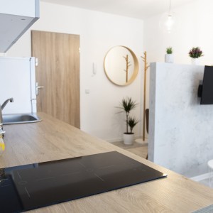 Kitchen anex