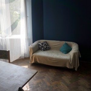 Livingroom +kitchen anex