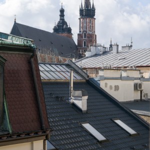 windows view