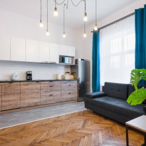 Livingroom with anex