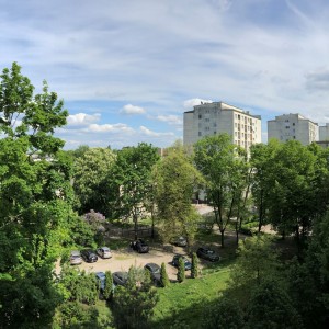 The view