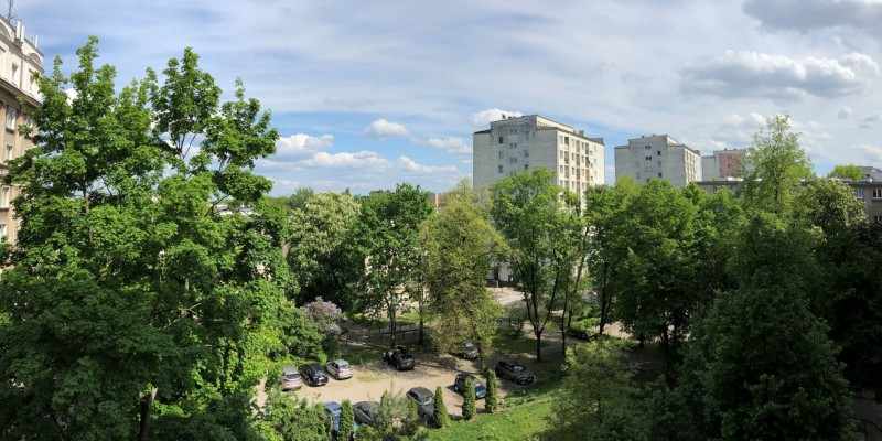 The view