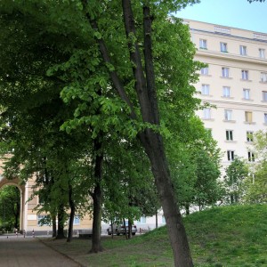 The building