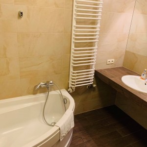 Bathroom 1
