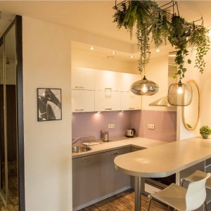Kitchen anex