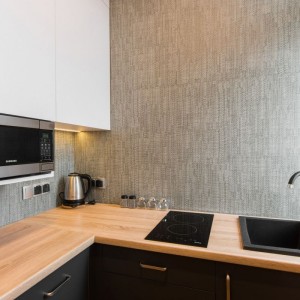 Kitchen anex