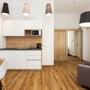 Kitchen anex