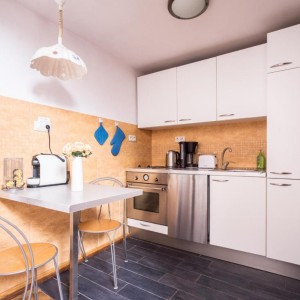 Kitchen anex