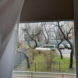 Windows view