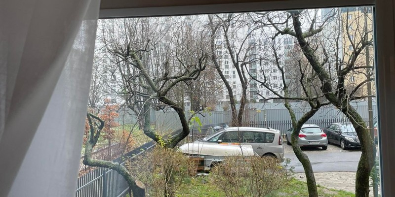 Windows view